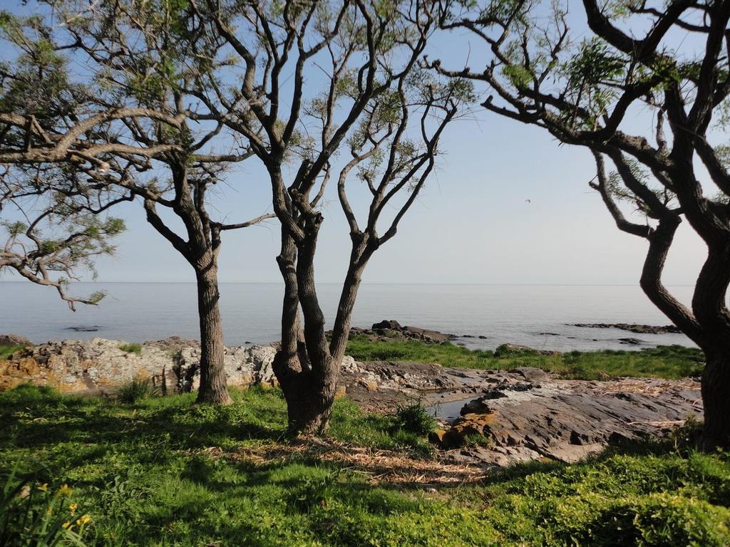 Bajo El Faro Villa Colonia del Sacramento Eksteriør bilde